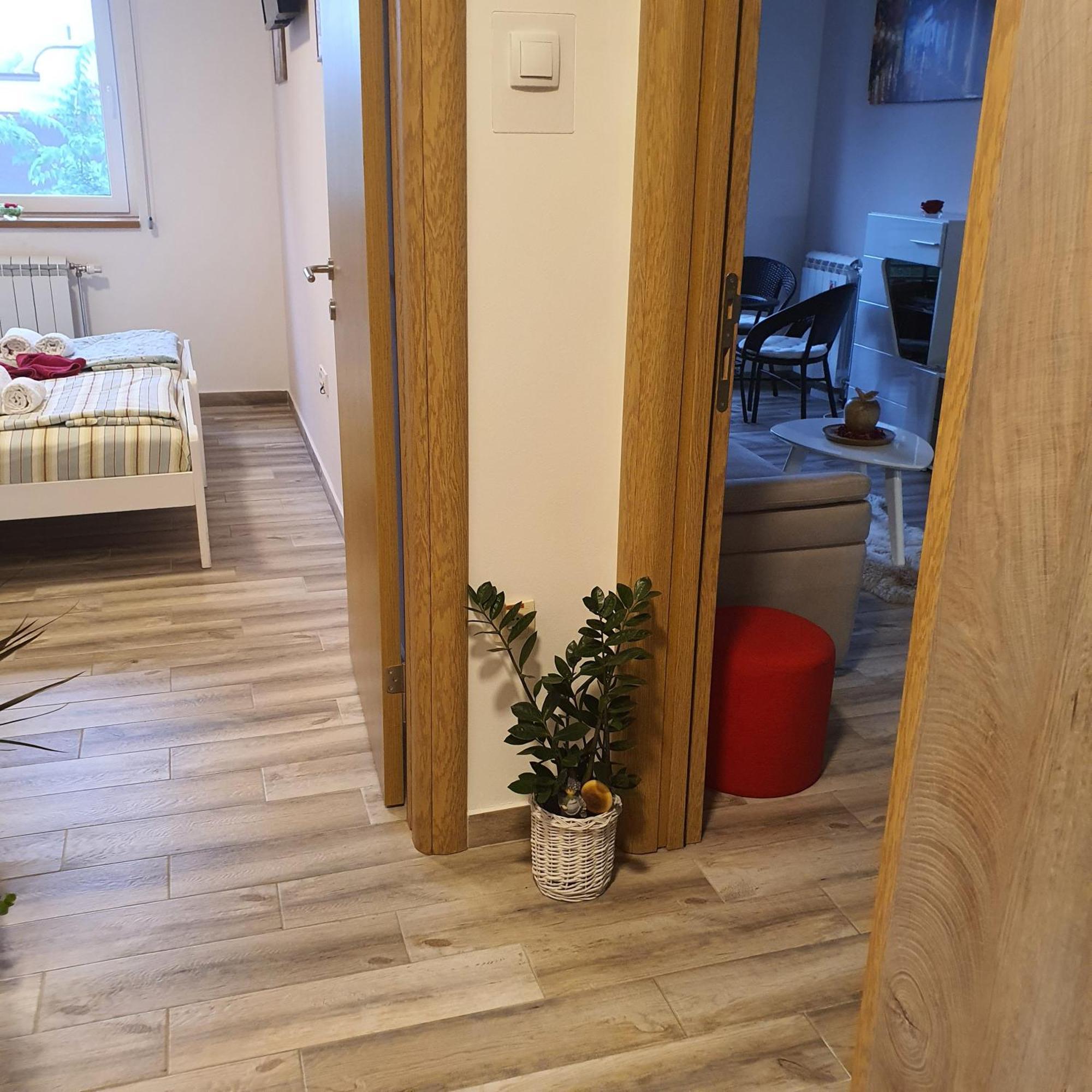 Apartment Rea Subotica Exterior photo